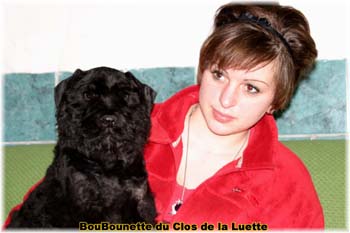 bouvier des flandres photo chiot - Elevage Clos Luette - COPYRIGHT DEPOSE